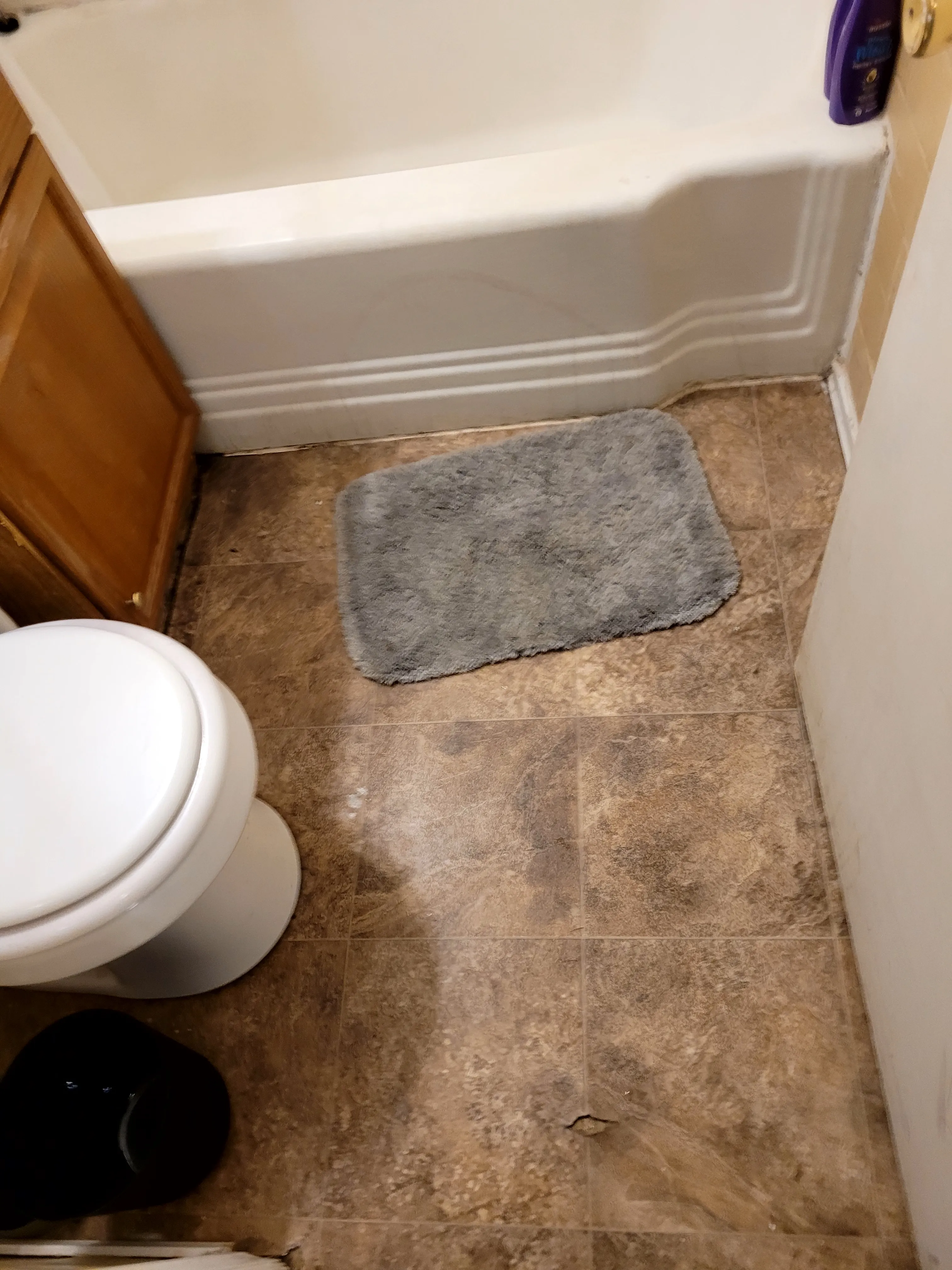 Before — Same small bathroom — toilet/floor view. Before: scuffed brown vinyl tile floor with stained tub apron. After: white subway tile walls, new white toilet, hardwood floor.